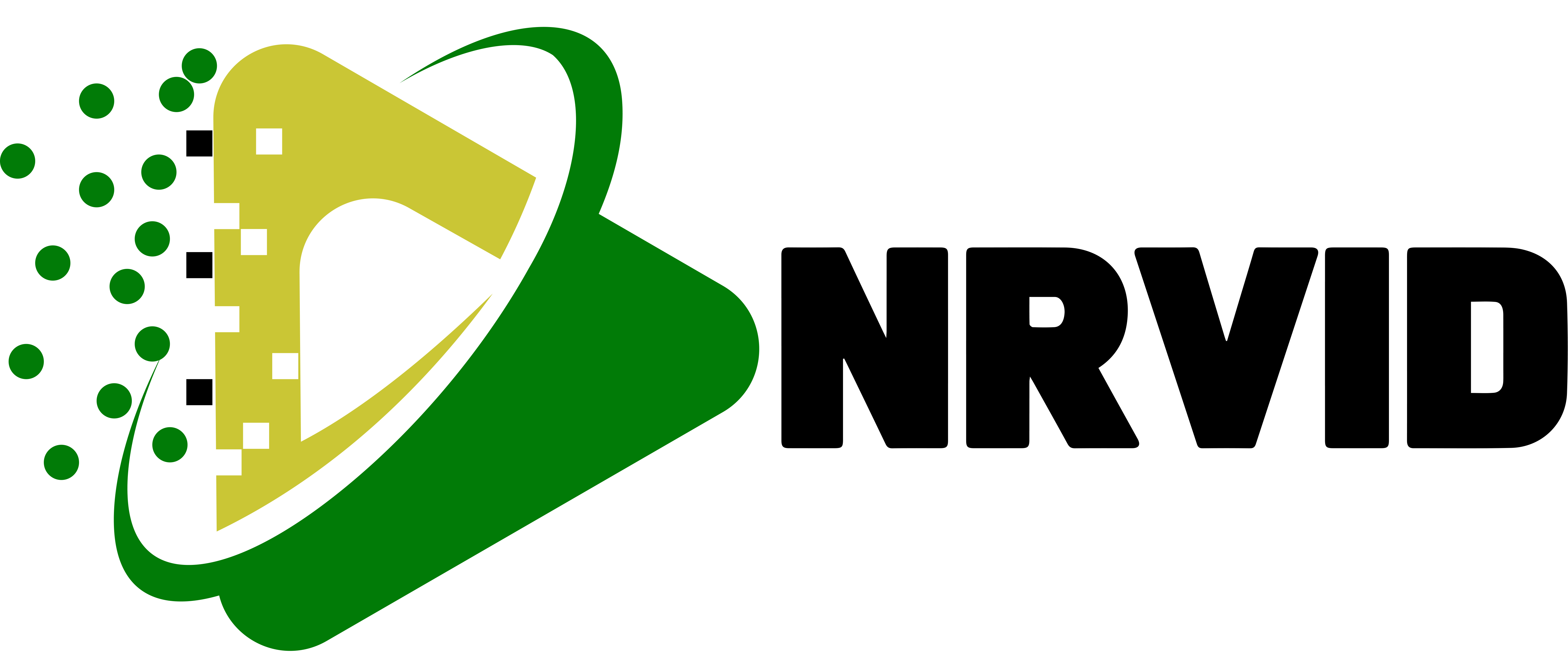 NrVid Logo